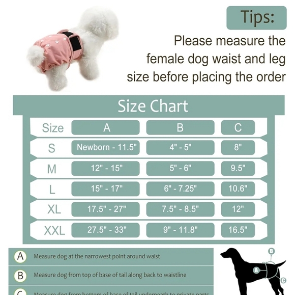 Grecle Washable Female Dog Diapers Large - Picture 2 of 16